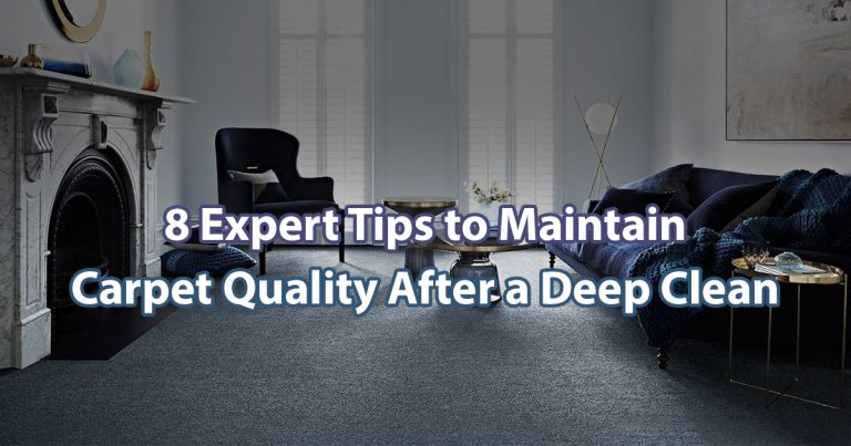 8 Expert Tips to Maintain Carpet Quality After a Deep Clean