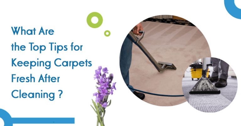 What Are the Top Tips for Keeping Carpets Fresh After Cleaning?