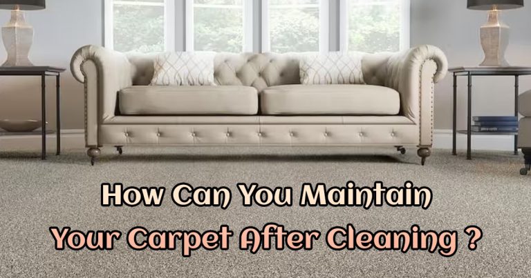 How Can You Maintain Your Carpet After Cleaning?