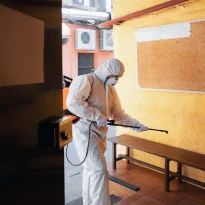 Expert Pest Control Canberra