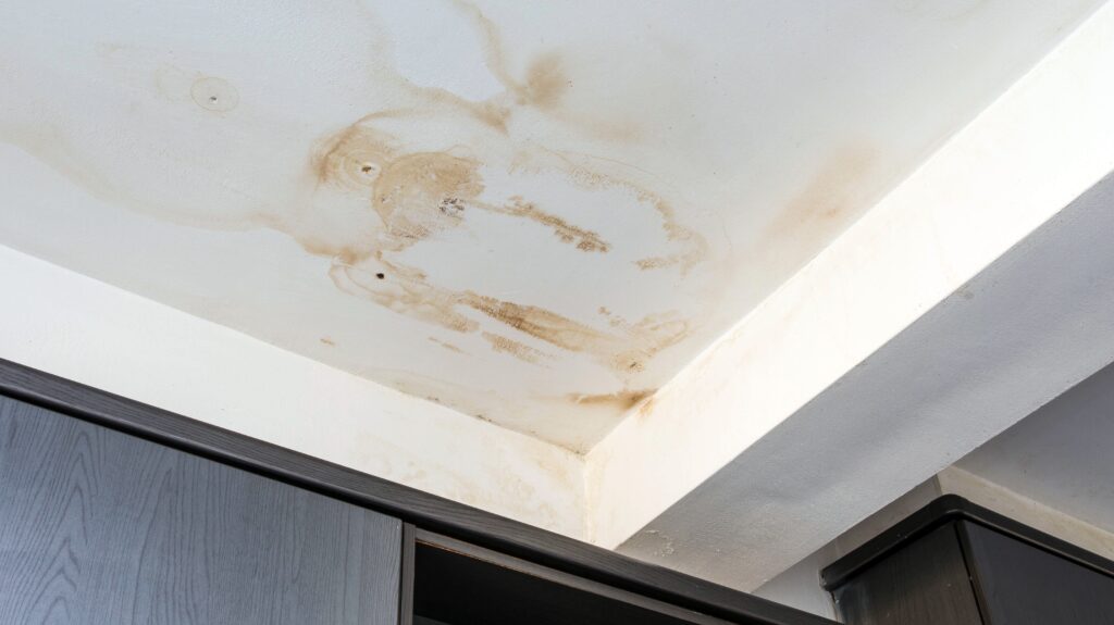 Ceiling inspection end of lease