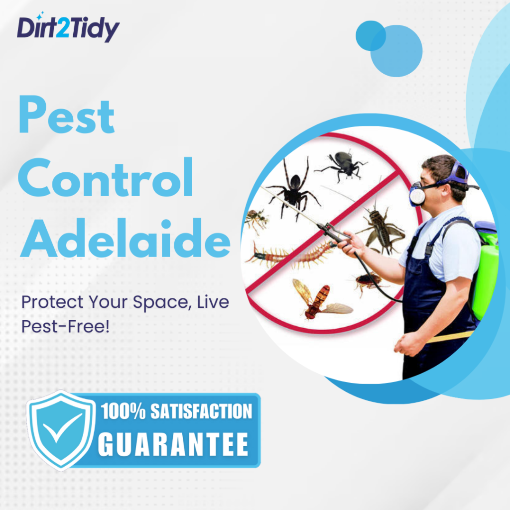 Pest control Adelaide