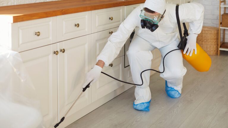 Part of end of lease cleaning