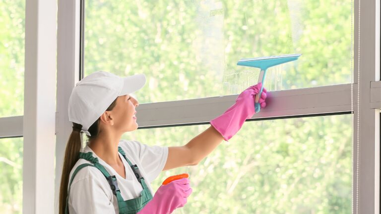 Best Way to Clean Glass Windows