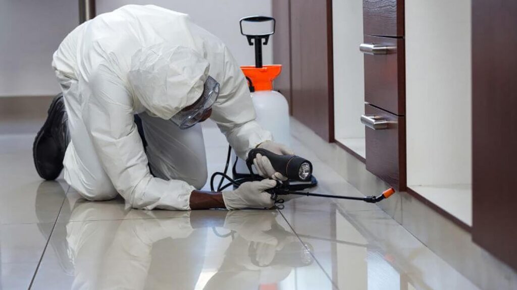 Can a tenant terminate a lease early because of mice? - 2025 1 tenant terminate a lease