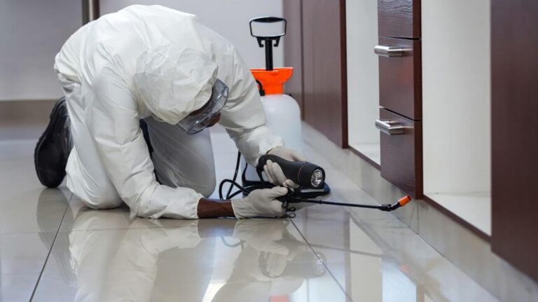 Common Mistakes in Pest Control
