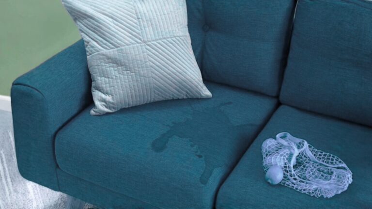 leather sofa cleaning