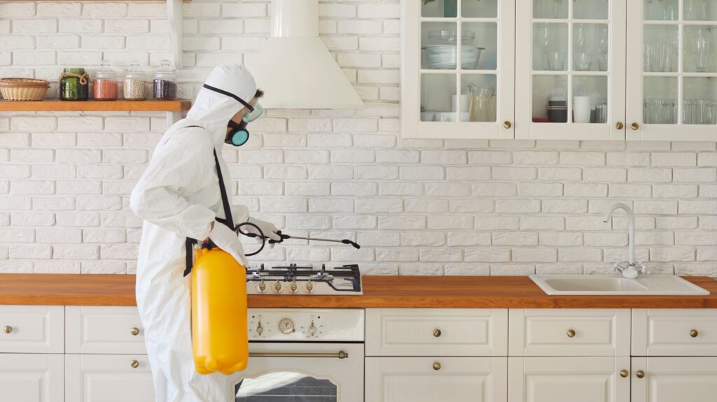 Can you get bed bugs from renting a carpet cleaner? 2 Renting a carpet cleaner