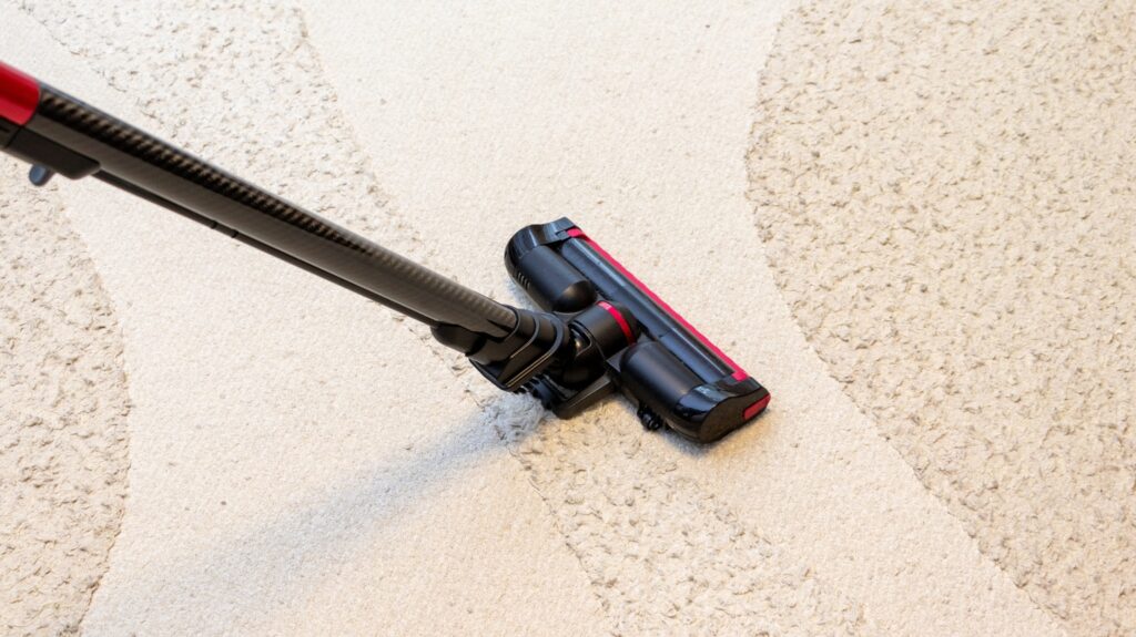 How Often Do You Clean Your Carpet when You Have Pets? 1 clean your carpet
