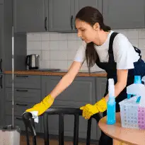 house cleaning service