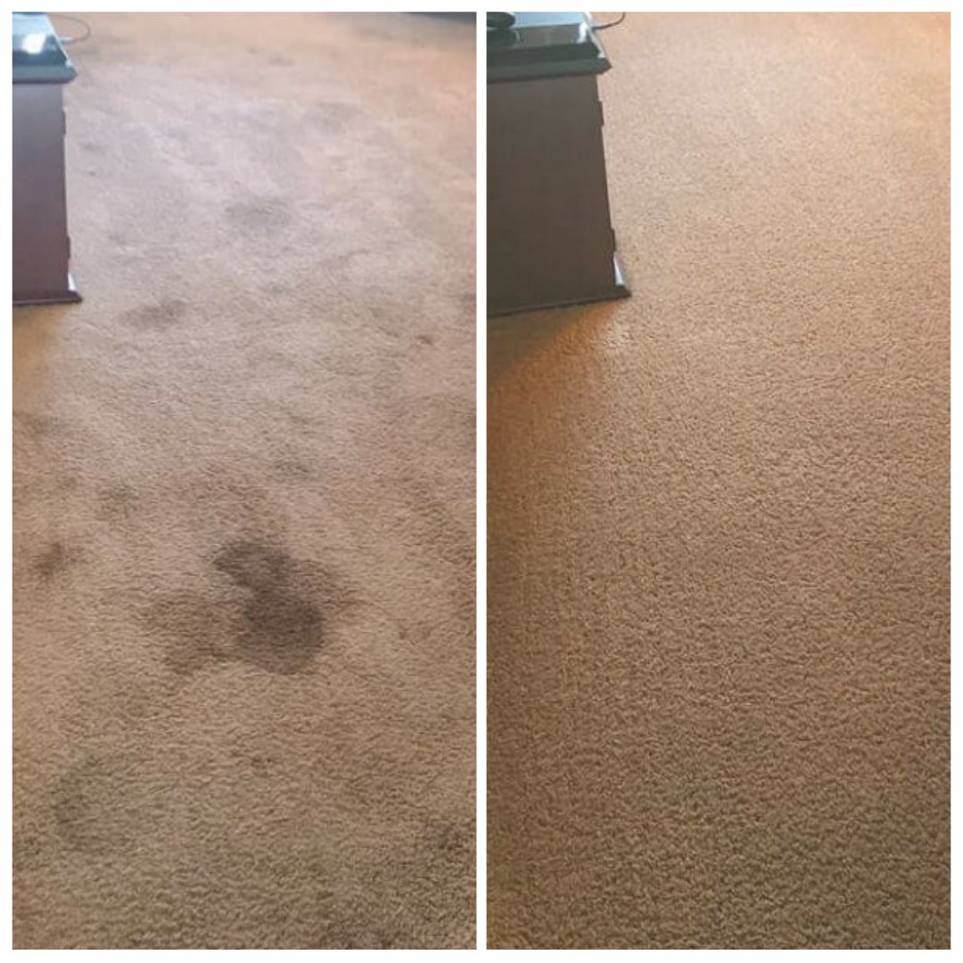 Carpet Stream cleaning