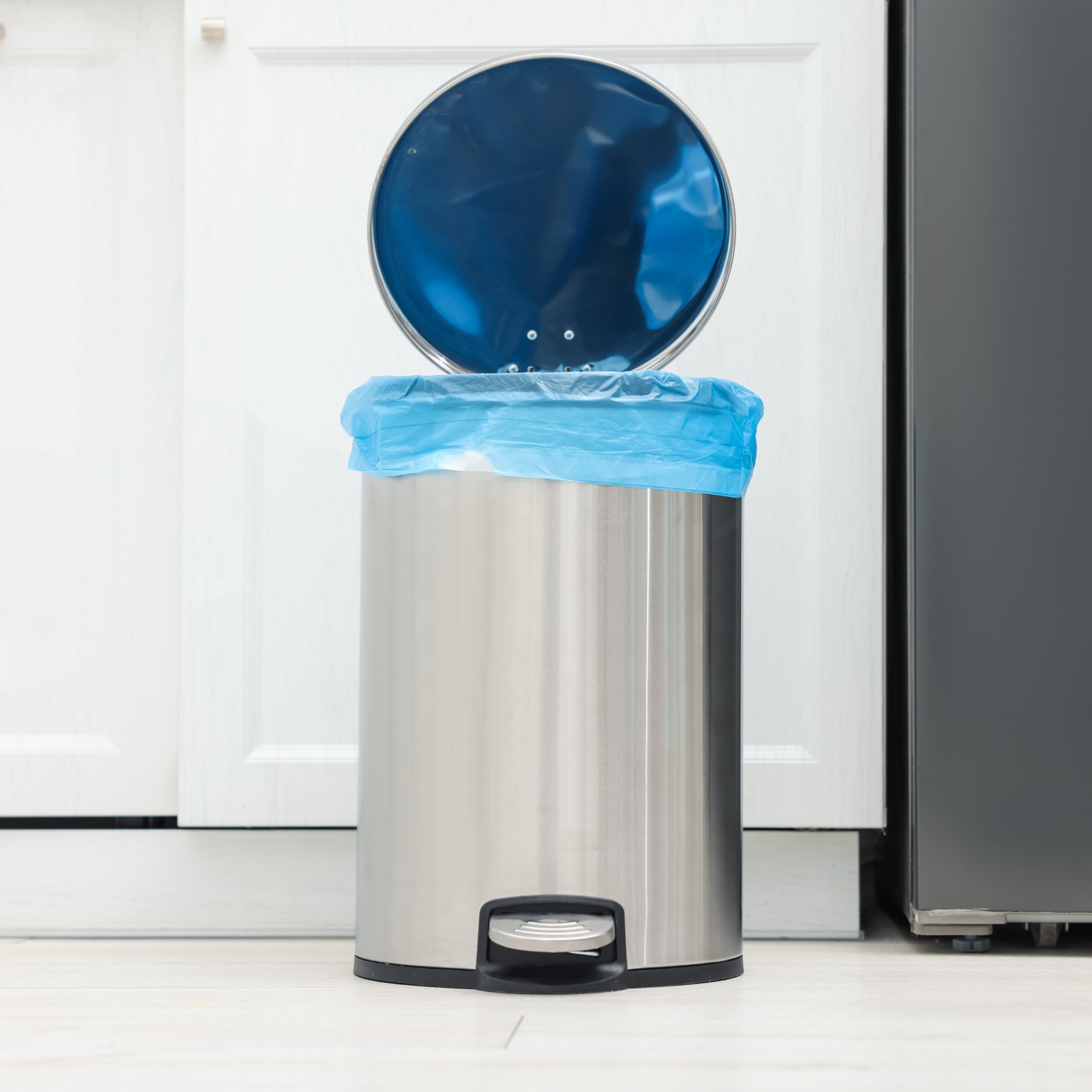 Dust Bin
