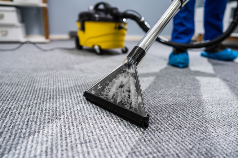 carpet cleaning company