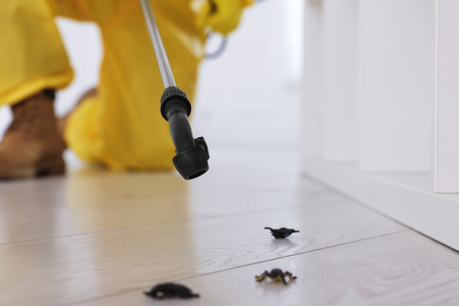 Pest Control Services