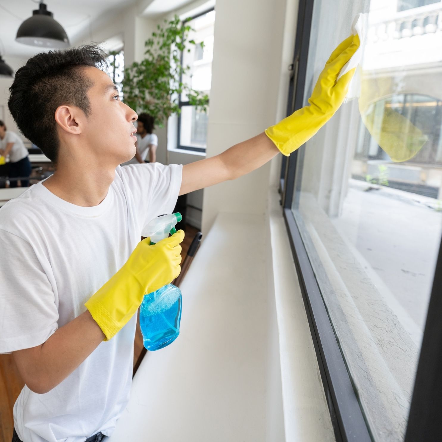 exterior windows