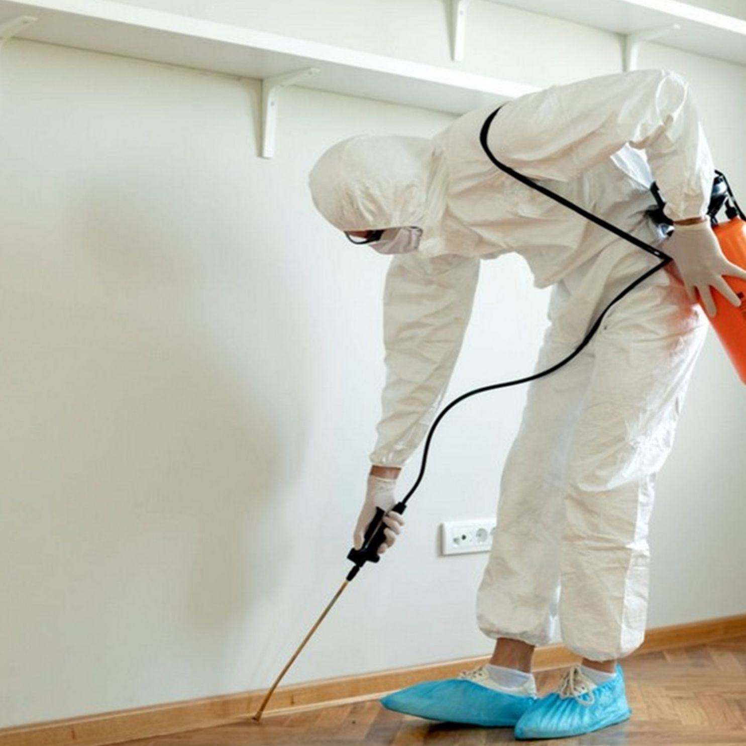 general pest treatment