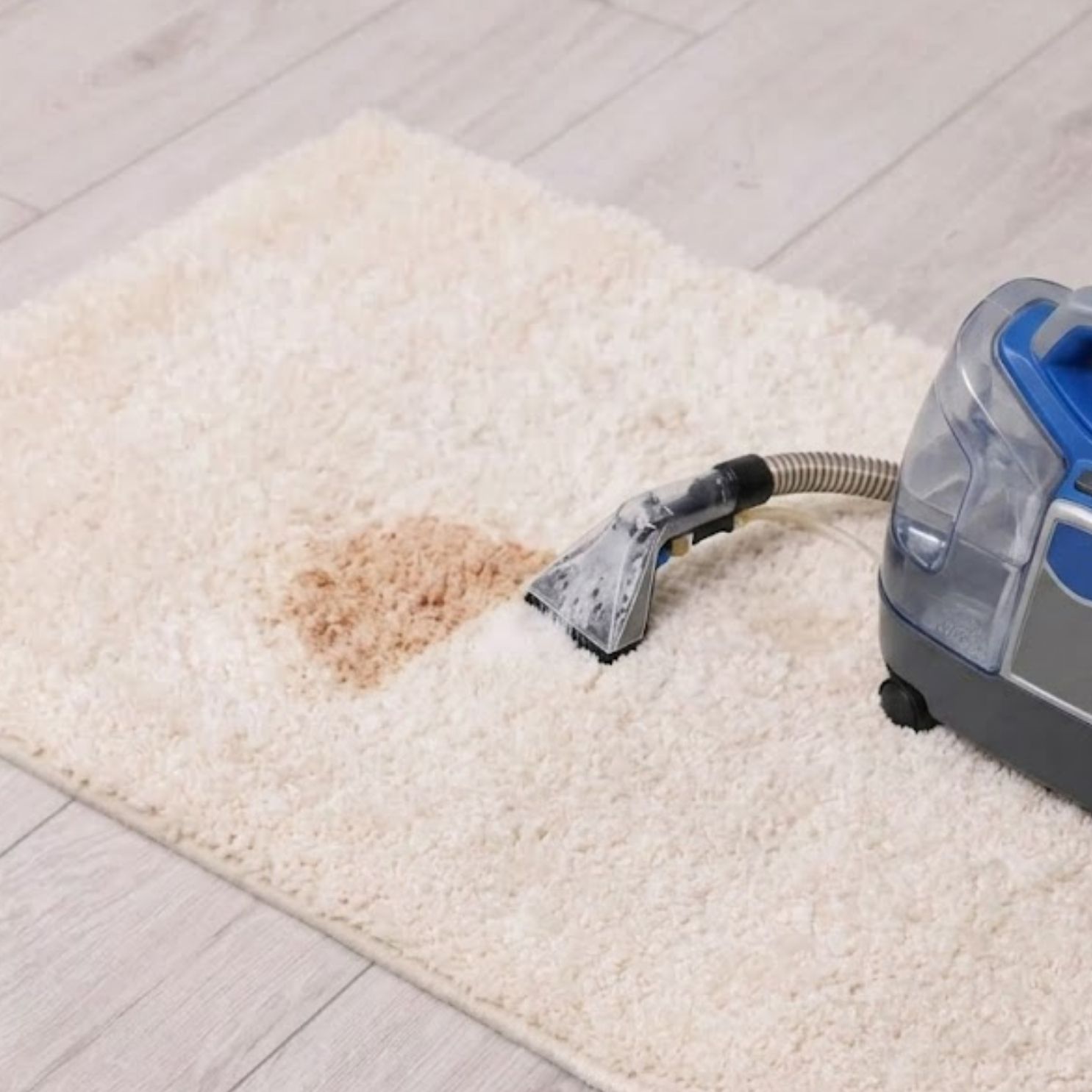 pet odour removal